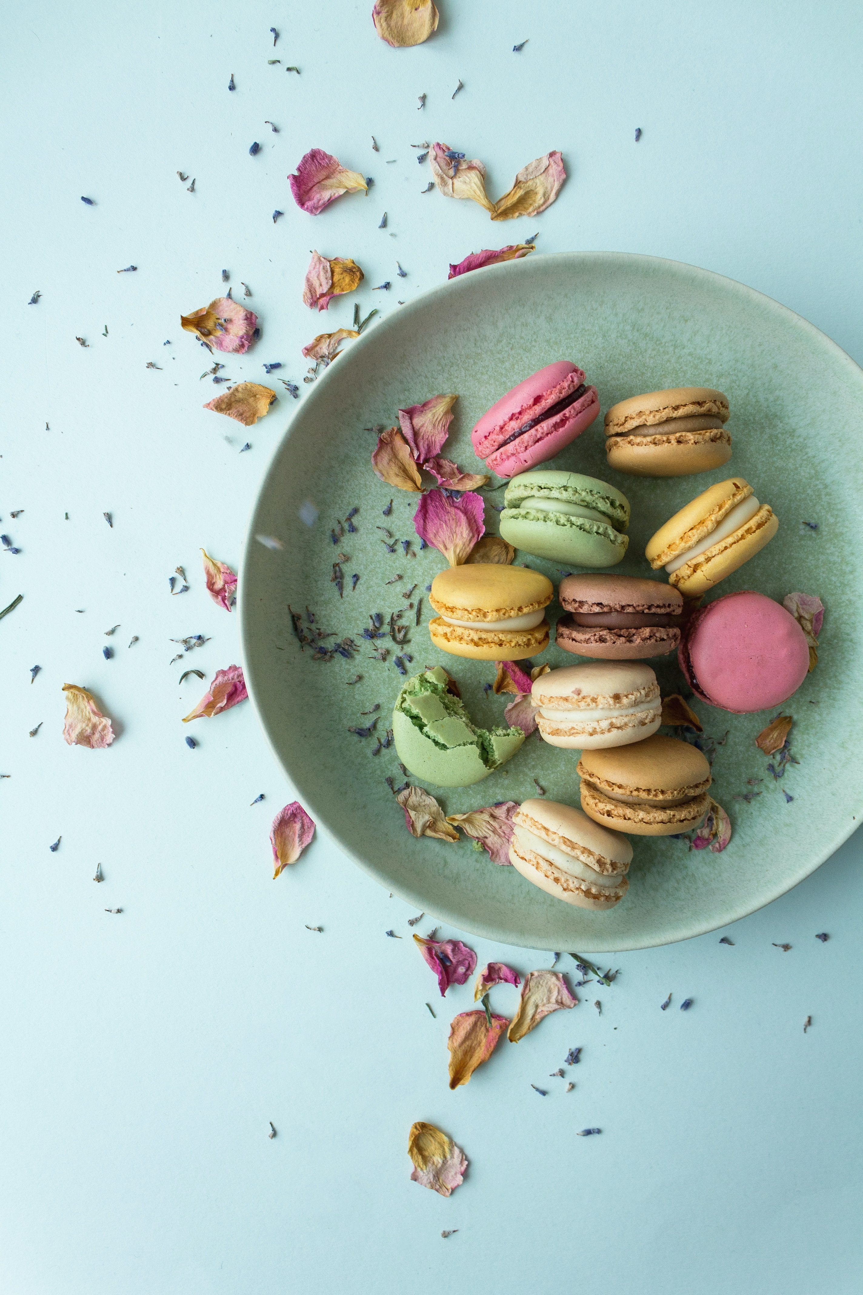 pasteleria